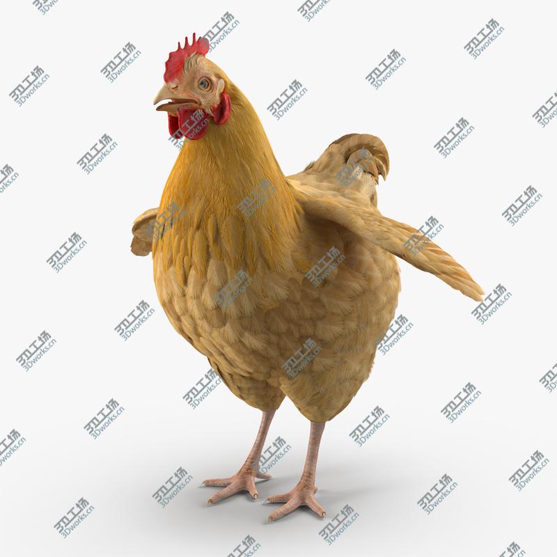 images/goods_img/202104022/Chicken Rigged for Maya 3D model/2.jpg